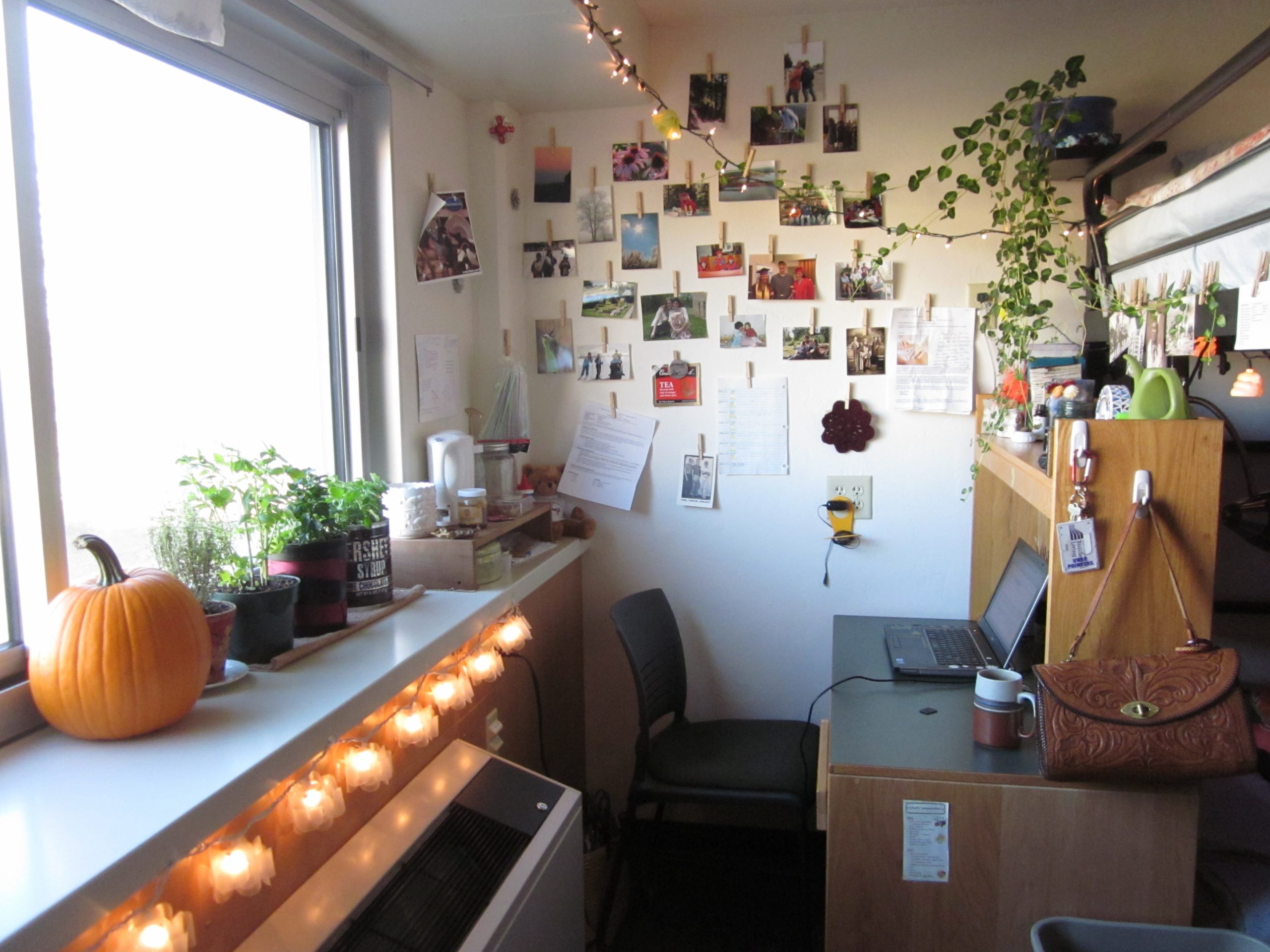 Inside a decorated UWSP dorm room