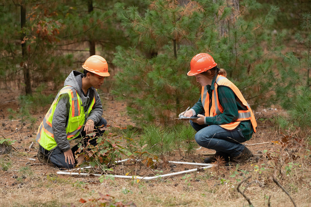 Forest Management University Of Wisconsin Stevens Point