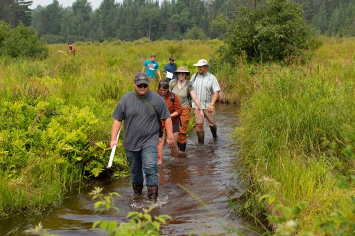 Students doing field work during their summer field experience at Treehaven