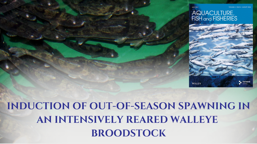 OUT OF SEASON SPAWNING WALLEYE BROOD PUBLICATION