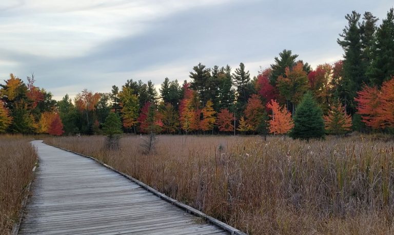 Explore UW-Stevens Point’s Schmeeckle Reserve through fall programs 