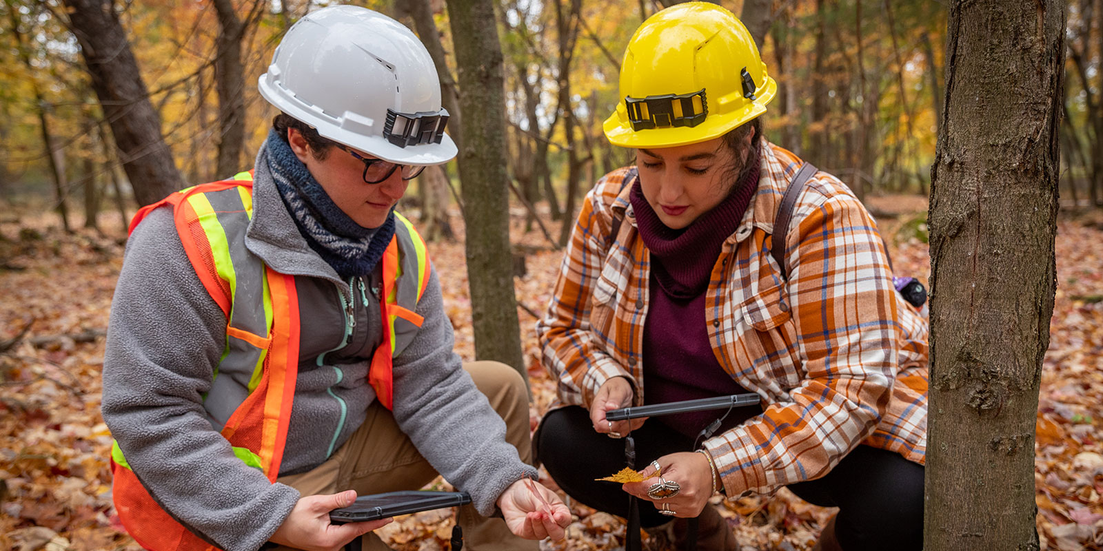 Master of Natural Resources in Conservation and Leadership - University ...