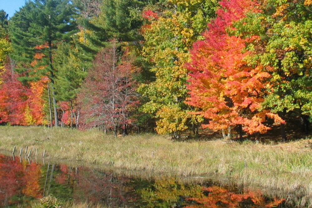 fall colors at Minister Lake