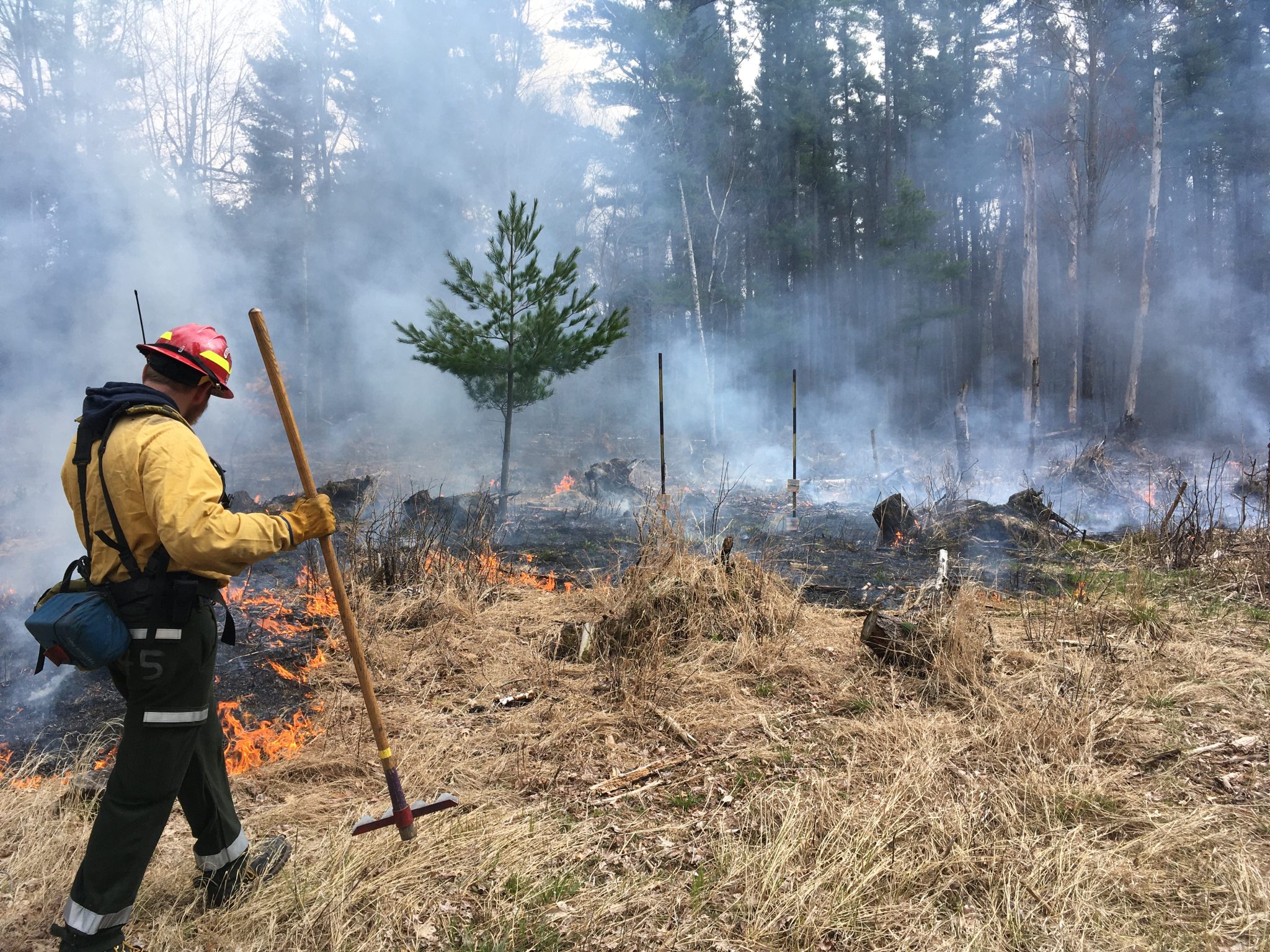 UW-Stevens Point Offering Online Series On Prescribed Fire Forest ...