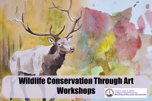 Learn how to draw, paint and illustrate wildlife this fall at three art workshops offered through the Wisconsin Center for Wildlife at UW-Stevens Point.