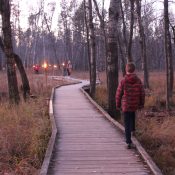 Explore the natural world at the University of Wisconsin-Stevens Point’s Schmeeckle Reserve this fall with family nature programs.