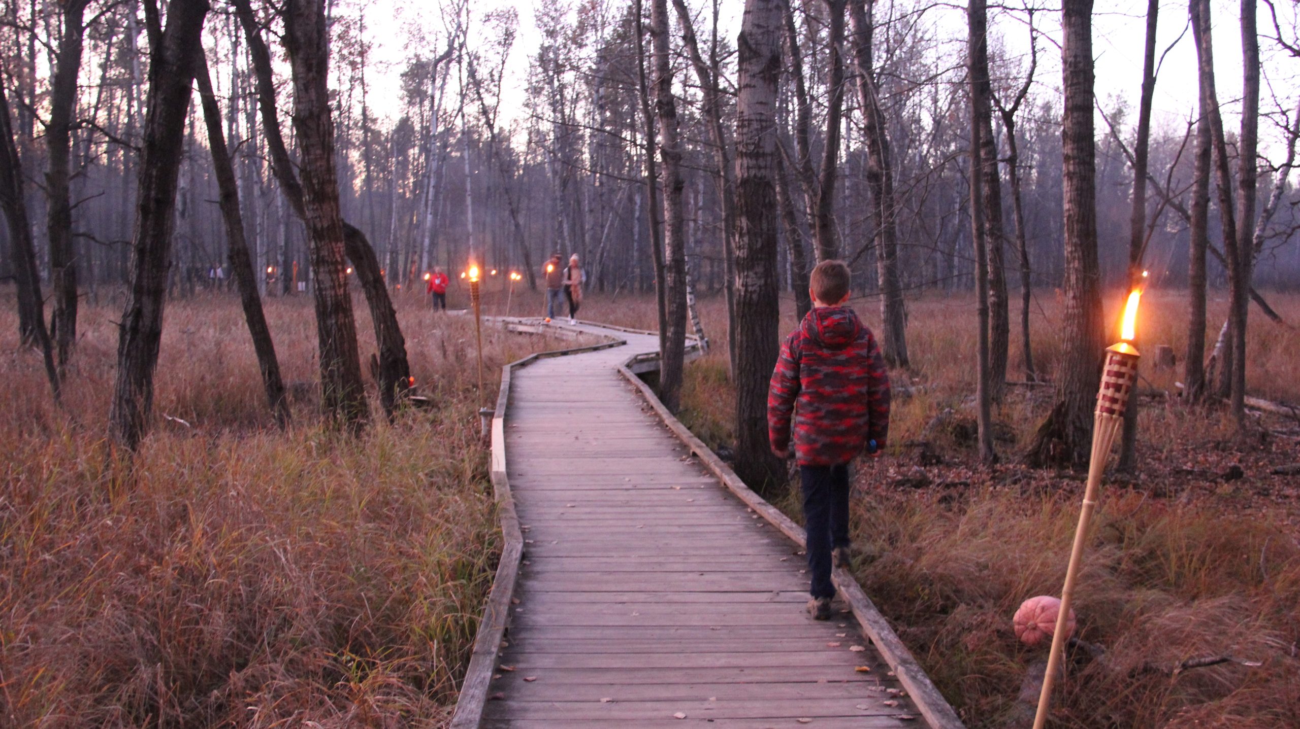 Explore the natural world at the University of Wisconsin-Stevens Point’s Schmeeckle Reserve this fall with family nature programs.