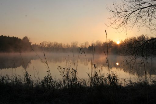 Enjoy the views at Lake Joanis, part of UW-Stevens Point’s 280-acre Schmeeckle Reserve, during free family nature programs in November and December.