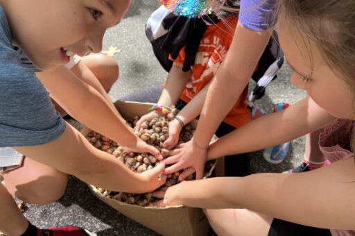 Students around Wisconsin have taken part in a seed collection project as part of a engaging education opportunity with collaboration between UW-Stevens Point and the Wisconsin DNR.