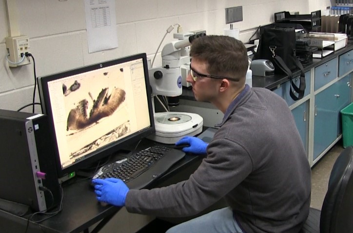 Ryan Bohem, a UWSP graduate student, is currently studying two native fish species to bring awareness to current game management practices in hopes to aid in their ecosystems.